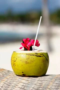 Coconut drink Stock Photos