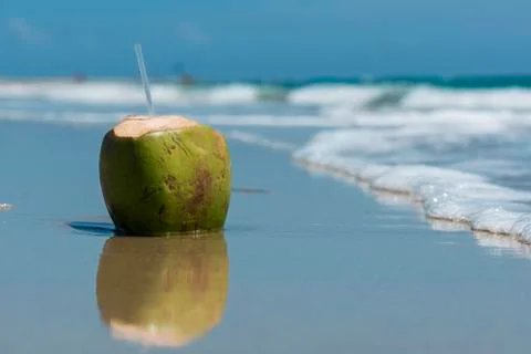 Coconut drink Stock Photos