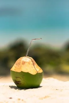 Coconut with drinking straw on a palm tree at the sea Stock Photos