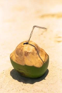 Coconut with drinking straw on a palm tree at the sea Stock Photos