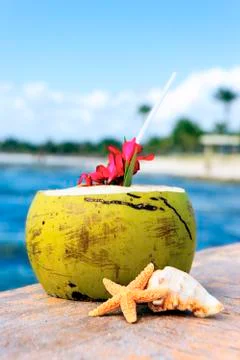 Coconut with drinking straw Stock Photos