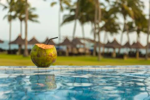 Coconut on the edge of the tropical pool at sunset. Stock Photos