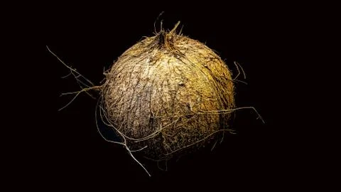 Coconut, exotic fruit, fruit in the shell, black background, selective focus, Stock Photos