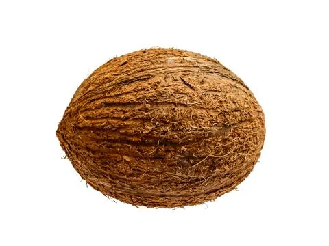 Coconut Exotic Fruit Isolated on White Background Stock Photos