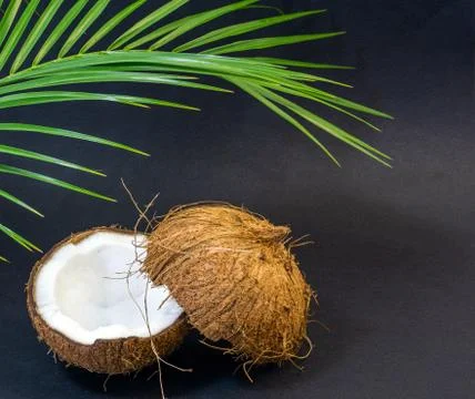 Coconut, exotic fruit, two halves of the fruit in the shell, dark background Foto stock