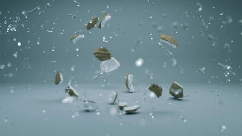 Coconut explosion Stock Footage 131334275