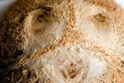 Coconut face outer view Stock Photos