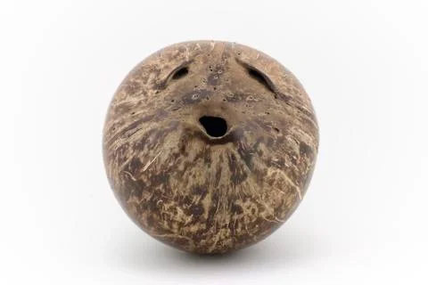 Coconut face Stock Photos