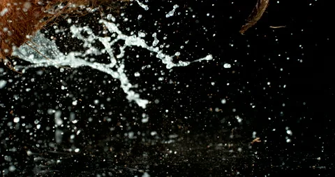 Coconut falling and breaking open Stock Footage 154236131