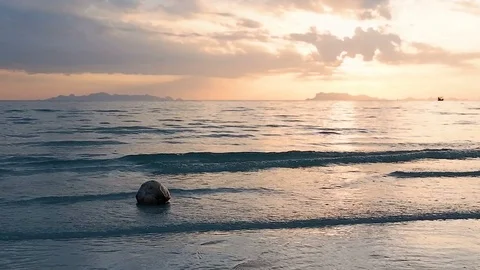 Coconut floats in waves of beautiful sunset at tropical sea and beach. Vídeos de archivo 94018401