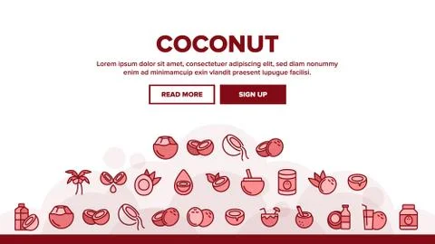Coconut Food Landing Header Vector Ilustración de archivo
