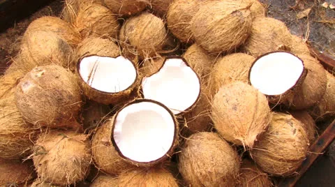COCONUT Stock Footage 24653847