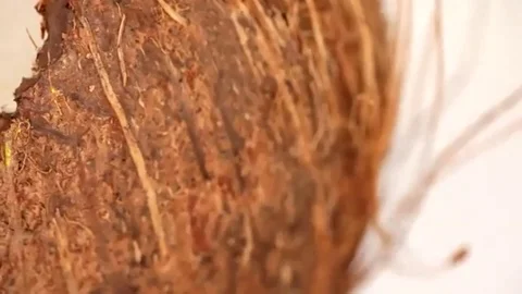 Coconut Stock Footage 98247501