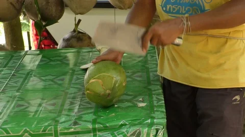 Coconut Stock Footage 112336846