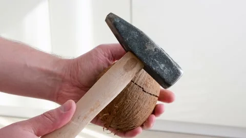 Coconut Stock Footage 166894224