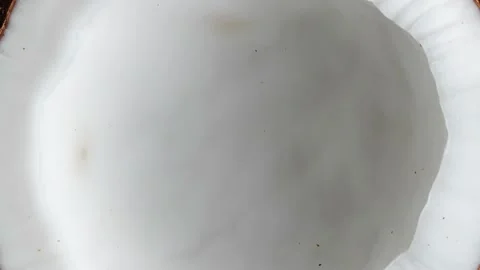 Coconut Stock Footage 187612202