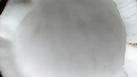 Coconut Video stock 187612264