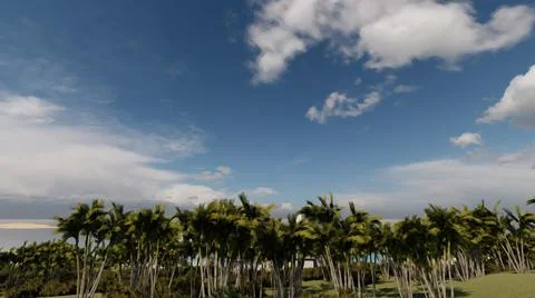Coconut forest at beach Illustrazione stock