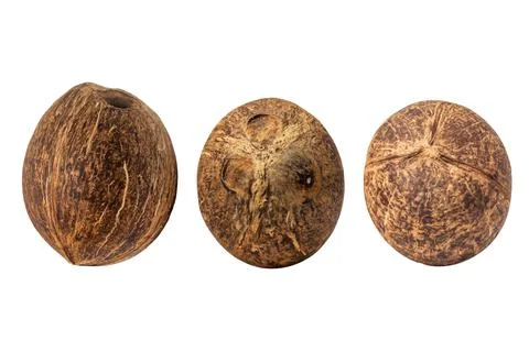 Coconut, front, sides, and back isolated on a white background with clipping Stock Photos