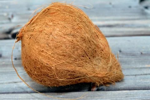 Coconut fruit cocoanut (Cocos nucifera) of the palm tree family (Arecaceae).. Foto stock