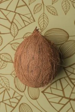 Coconut fruit isolated Stockfoto's