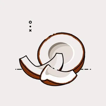 Coconut fruit isolated in white background with slice in the front. Illustrazione stock