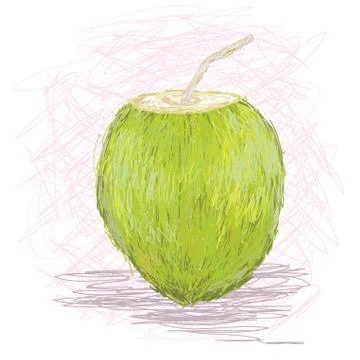 Coconut fruit juice Stock Illustration