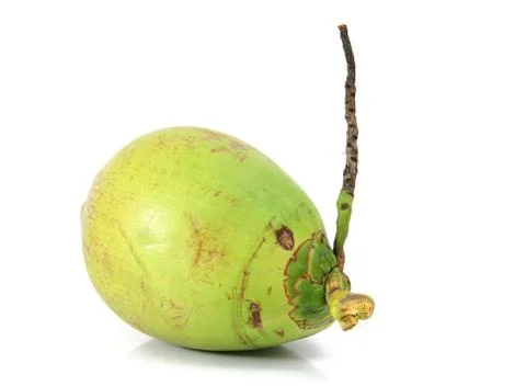 Coconut fruit Foto stock