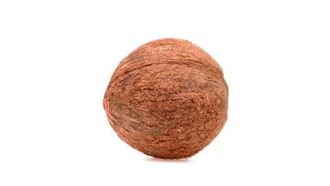 Coconut fruit is rotating on white background. Isolated. Side view. Stock Footage 161039169