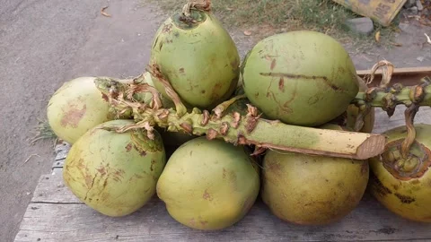 Coconut Fruits Video stock 280474406