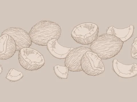 Coconut graphic color seamless pattern background sketch illustration vector Stock Illustration