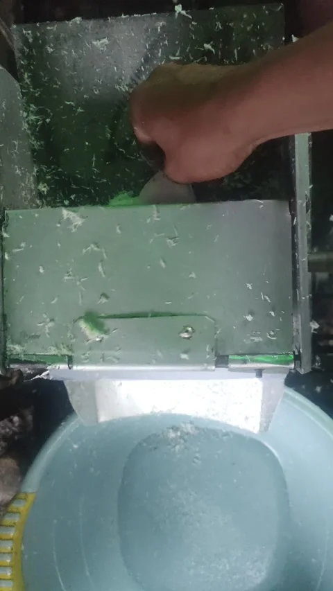 Coconut grater machine Video stock 212501143