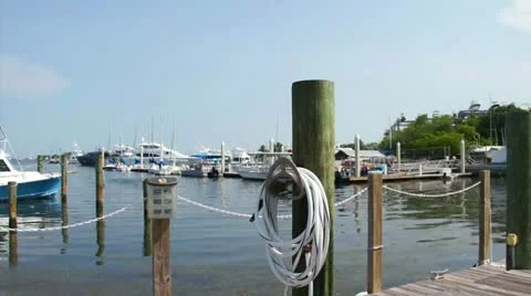 Coconut Grove Marina Stock Footage 12038495