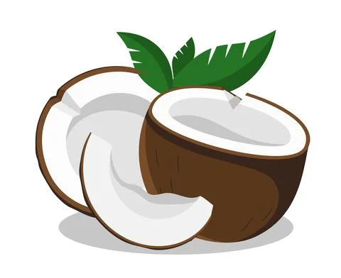 Coconut half with green leaves Vector illustration isolated on white Stock Illustration
