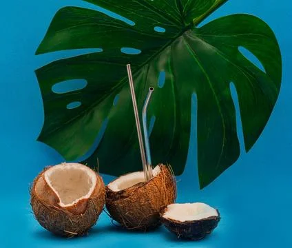 Coconut halves with reusable drinking straws. Monstera leaf on background Stock Photos