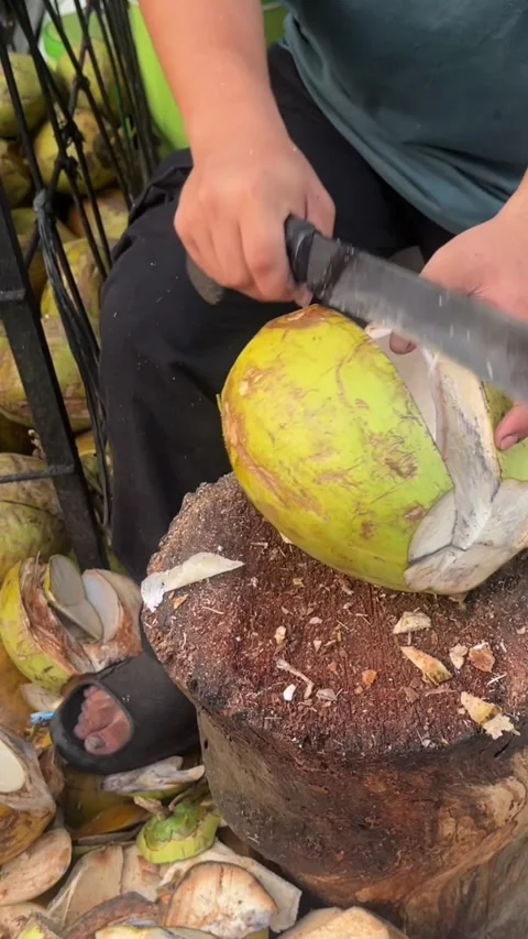 Coconut Halving Demonstration with Knife on Tree Stump in Outdoor Setting Stock Footage 344608033