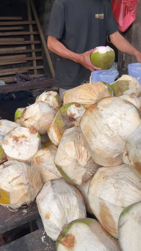 Coconut Handling Scene with Fresh Coconuts on Table in Outdoor Setting Stock Footage 333306939