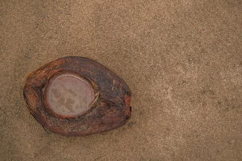 Coconut Husk Lying on Sand Foto stock