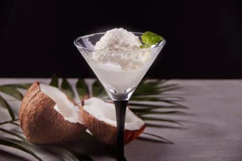 Coconut ice cream on the gray table with palm leaf and coconut 库存照片