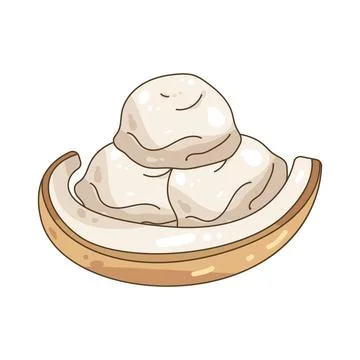 Coconut ice cream Stock Illustration