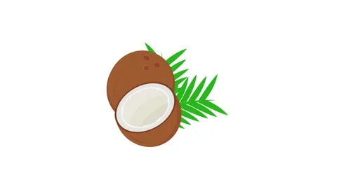 Coconut icon animation for motion graphics. Foods and Drinks Icons Stock Footage 147743254