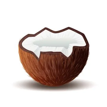 Coconut icon, broken coconut isolated in white Illustrazione stock