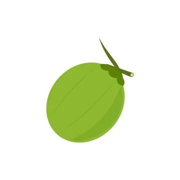 Coconut icon in flat color style. Fruit with green leaves. Coconut icon Stock Illustration