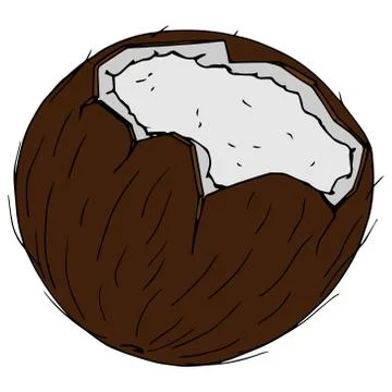 Coconut icon. Stock Illustration