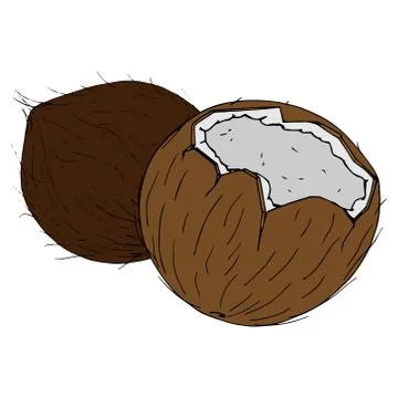 Coconut icon. Stock Illustration