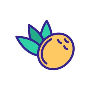 Coconut icon vector. Isolated contour symbol illustration 스톡 일러스트