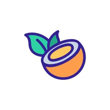 Coconut icon vector. Isolated contour symbol illustration 스톡 일러스트