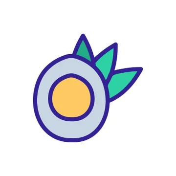 Coconut icon vector. Isolated contour symbol illustration 스톡 일러스트