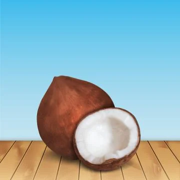 Coconut Stock Illustration
