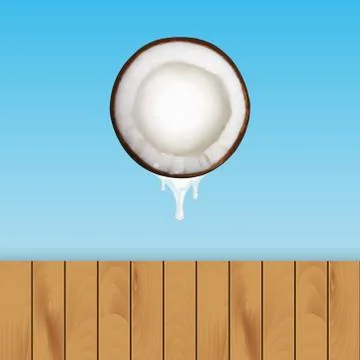 Coconut Stock Illustration
